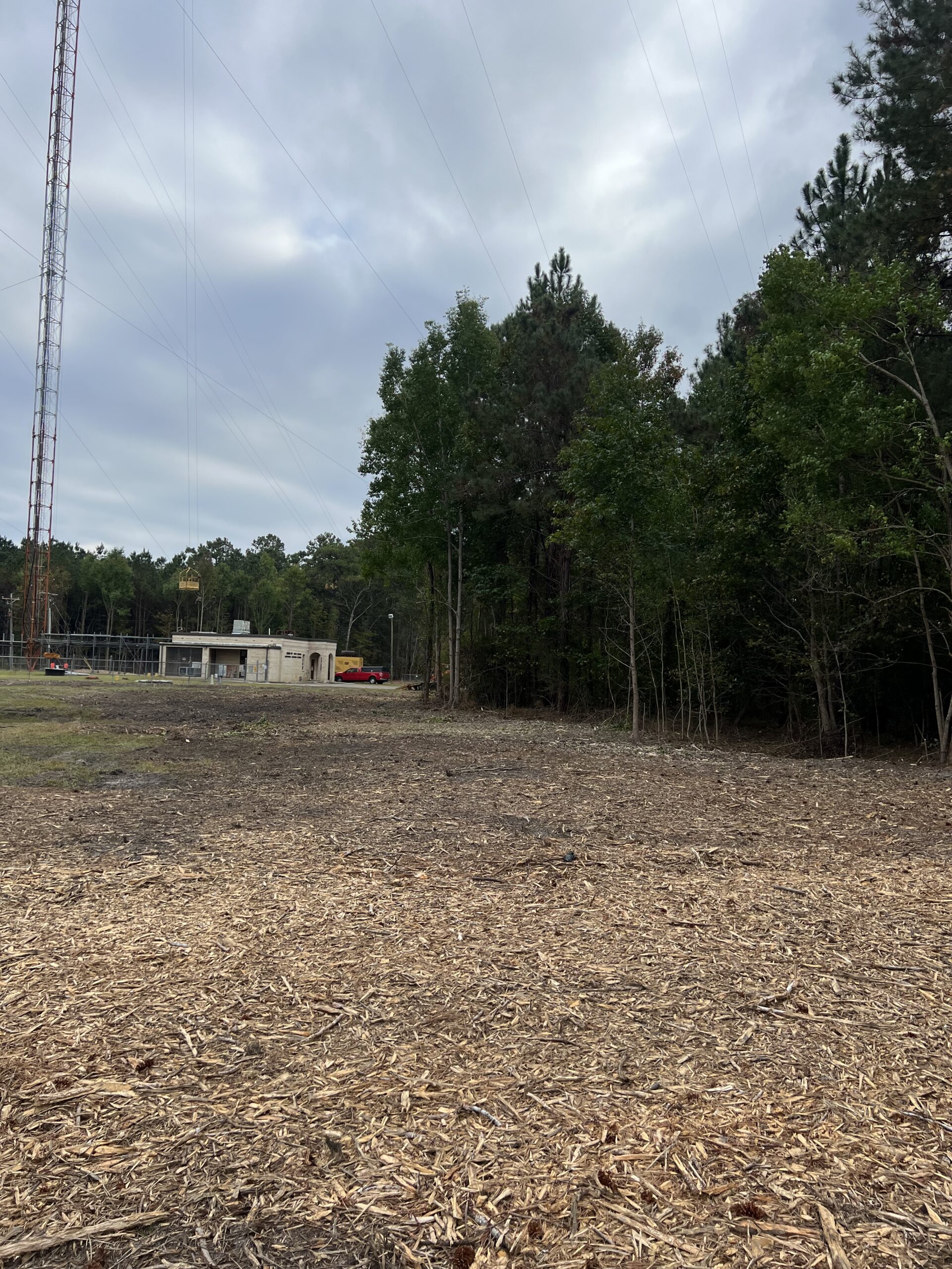 Cleared area with wood chips in the foreground, trees to the right, a small building, and a tall communication tower in the background under a cloudy sky.