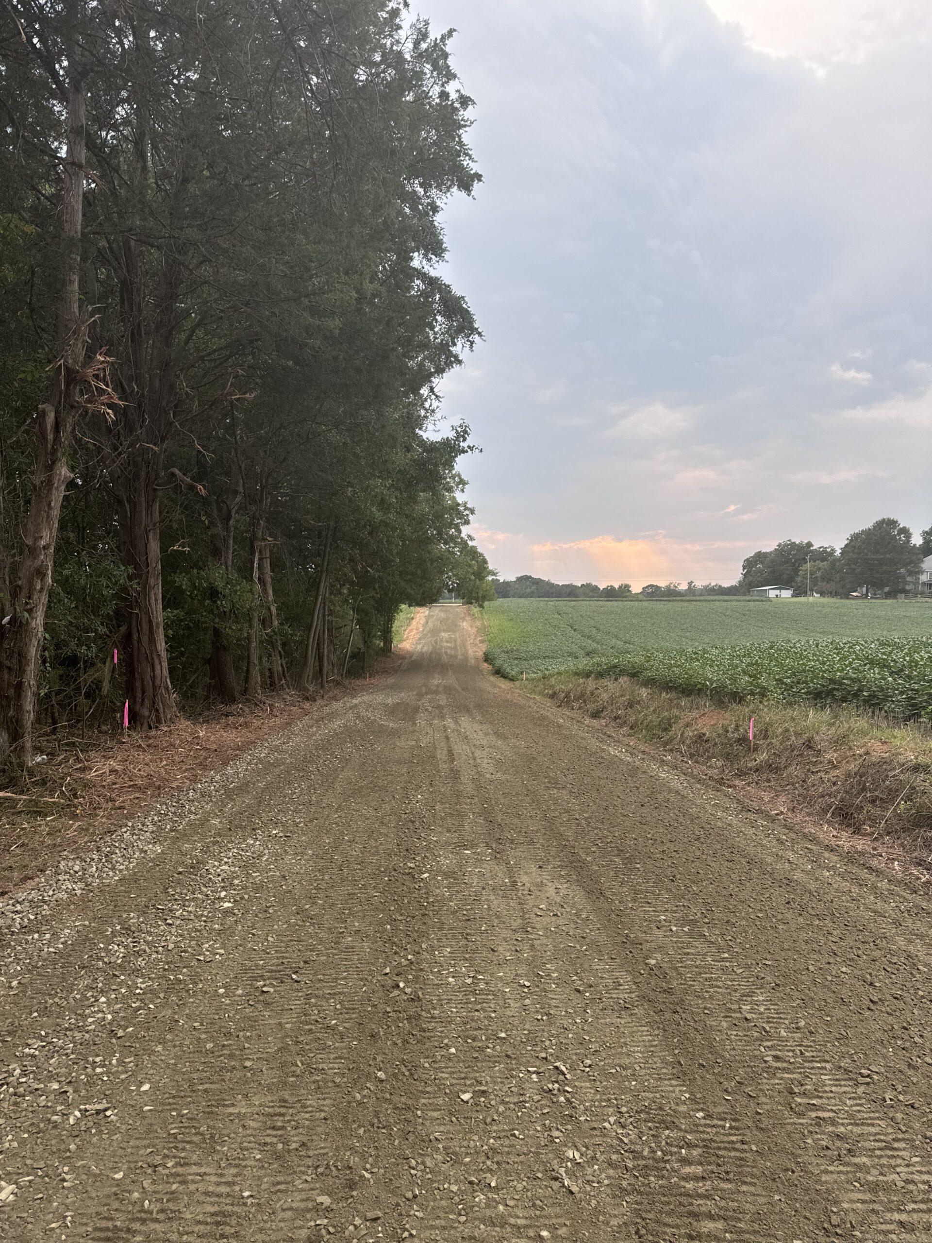 A dirt road runs between a line of trees on the left and a green field on the right under a partly cloudy sky at sunset.