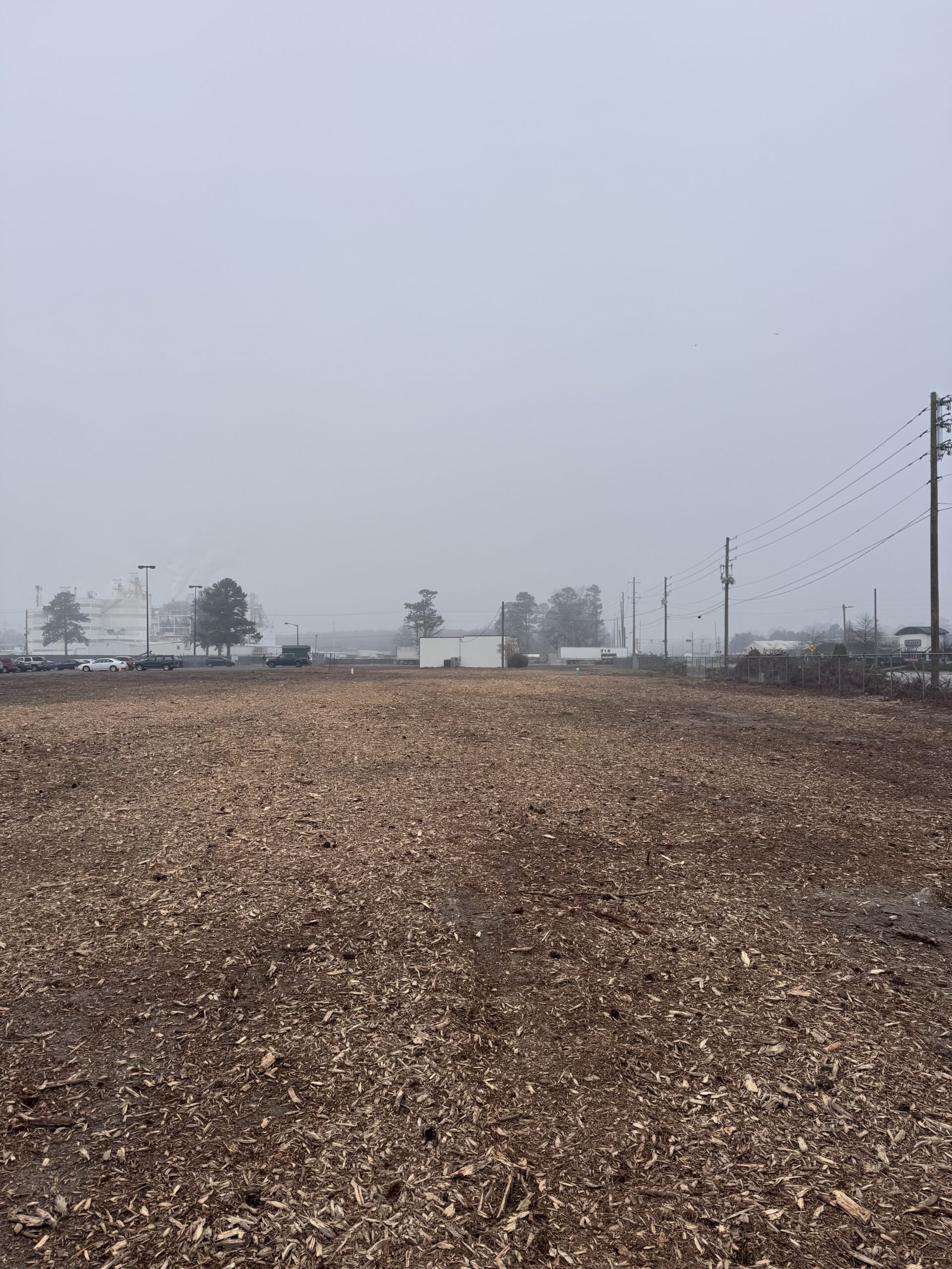 A wide, empty lot covered in forestry mulching wood chips on a foggy day, with utility poles and buildings visible in the background.